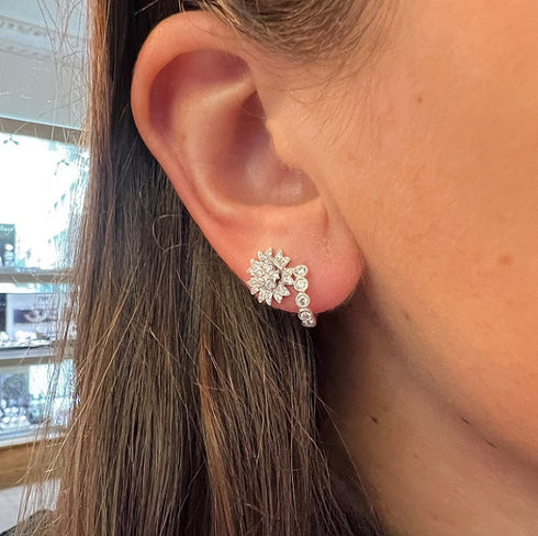 Signatur Creol Øreringe